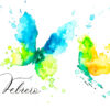 Febrero acuarela de mariposas