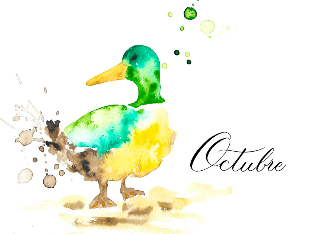 octubre acuarela de pato